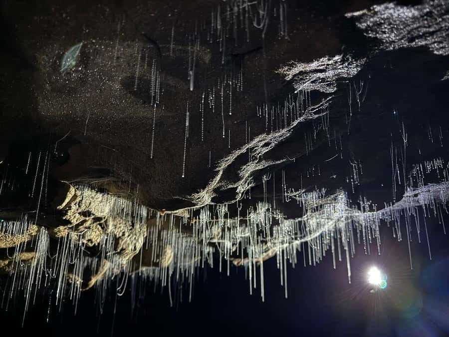 Auckland: Spellbound Glowworm Caves Explorer Tour - Getting There: Auckland Pickup, a Long Van Ride, and Staying On Time