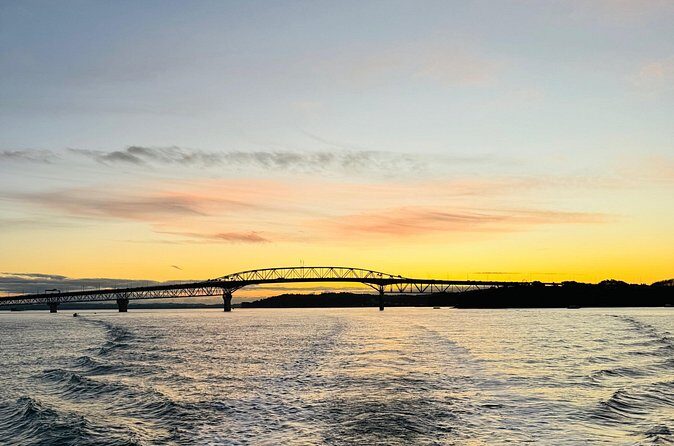 Auckland Sunset Harbour Cruise - Who this cruise is best for (and who might skip it)