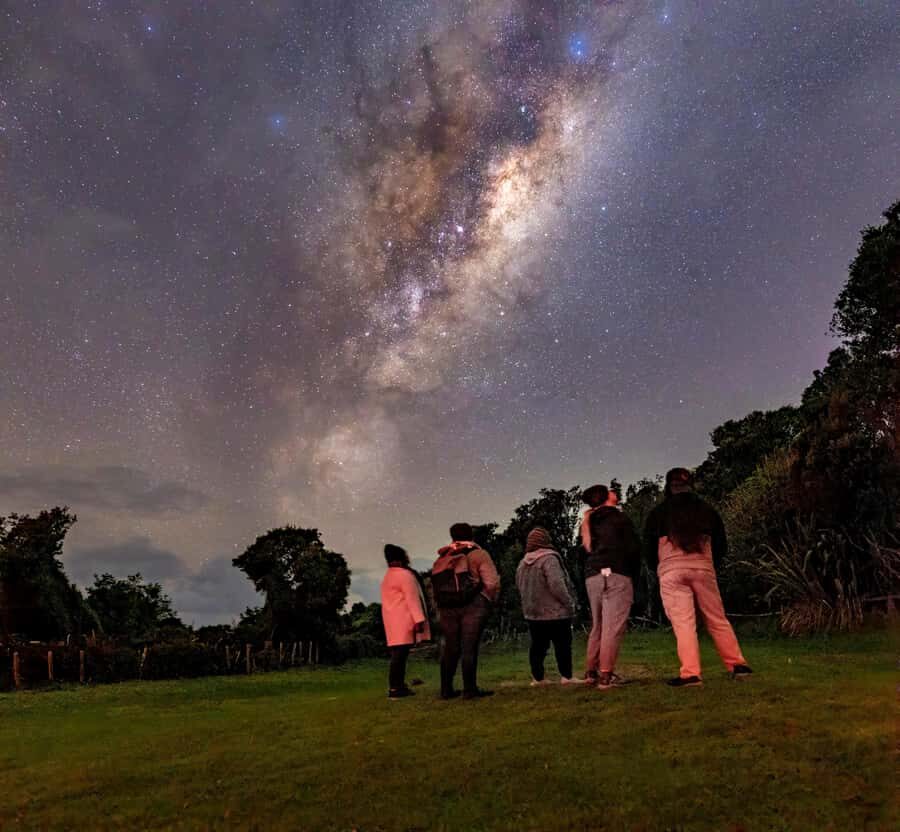 Auckland (Tawharanui): Wild Kiwi Bird Spotting Encounter - Tawharanui at night: stars first, then the kiwi hunt