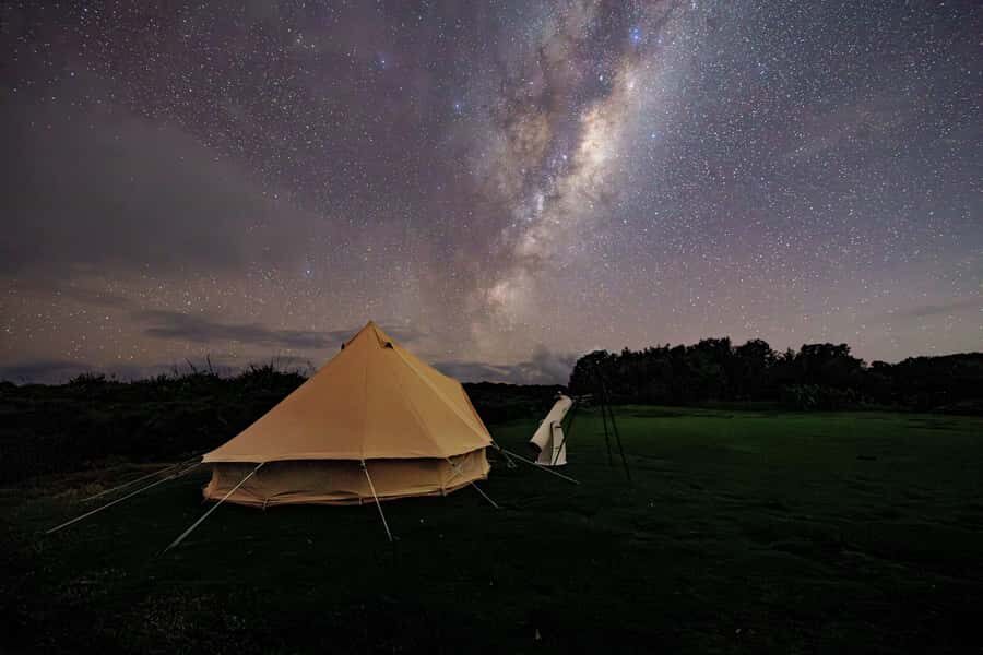 Auckland (Tawharanui): Wild Kiwi Bird Spotting Encounter - Stargazing in low light: planets, constellations, and a guide’s map