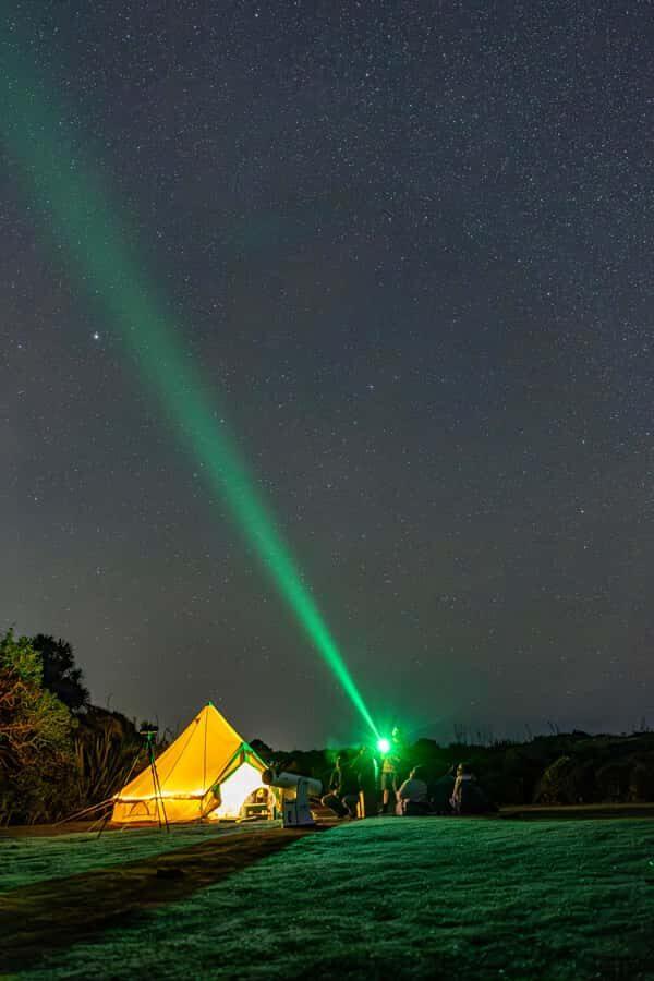 Auckland (Tawharanui): Wild Kiwi Bird Spotting Encounter - Glamping and overnight: sleeping under the dark-sky sky