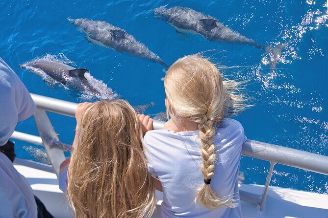 Auckland: Tikapa Moana Dolphin, Whale and Island Cruise - Key Things to Know Before You Go