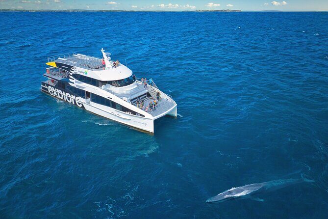 Auckland: Tikapa Moana Dolphin, Whale and Island Cruise - Price and Value: What $105.50 Really Buys You