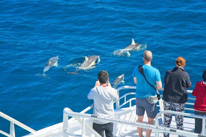 Auckland: Tikapa Moana Dolphin, Whale and Island Cruise - The On-Island Break on Waiheke: Rotoroa vs Man O’ War