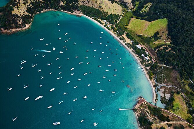 Auckland: Tikapa Moana Dolphin, Whale and Island Cruise - Getting There and Timing: How the Day Actually Flows