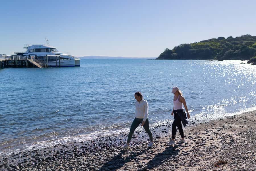 Auckland: Tiritiri Matangi Island Ferry - Key highlights worth circling