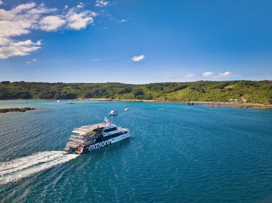 Auckland: Tiritiri Matangi Island Ferry - Choosing Your Departure: Auckland Viaduct vs Gulf Harbour for Best Timing