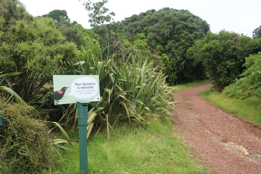Auckland: Tiritiri Matangi Island Ferry - Price and Value: Is This $65 Auckland Day Trip a Good Deal?