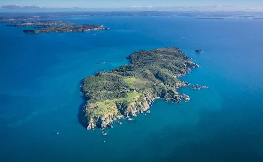 Auckland: Tiritiri Matangi Island Ferry - Hauraki Gulf Cruise: 80 Minutes of Sea Views and Useful Commentary