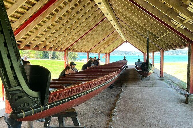 Auckland to Paihia via West Coast Small Group Tour (One Way) - Key highlights to know before you go