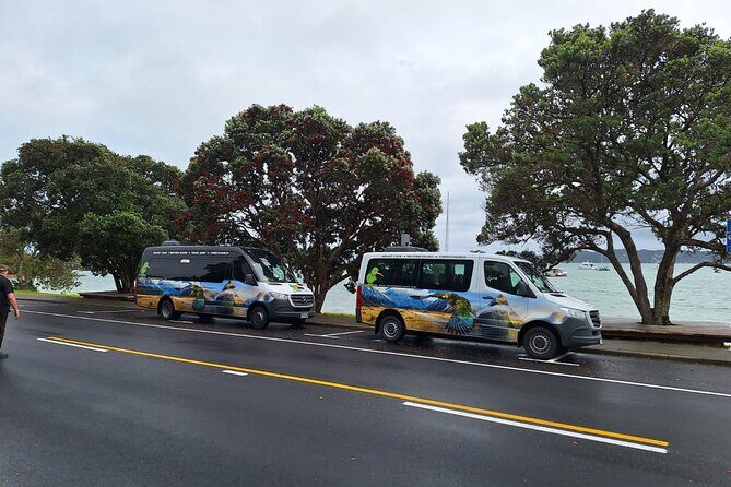 Auckland to Paihia via West Coast Small Group Tour (One Way) - The Kauri Museum: why this stop makes the rest hit harder