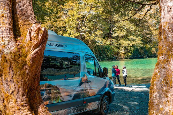 Auckland to Paihia via West Coast Small Group Tour (One Way) - Waipoua Forest and Tane Mahuta: the Lord of the Forest moment