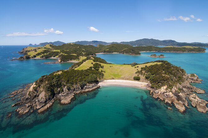 Auckland to Paihia via West Coast Small Group Tour (One Way) - Opononi lunch by Hokianga Harbour: a real break, not a rushed stop