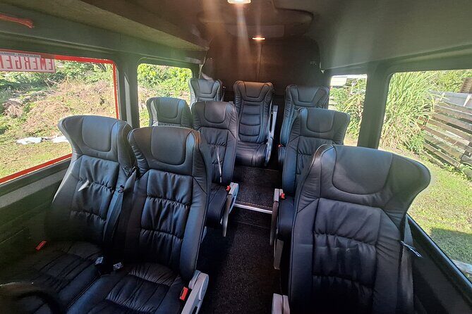 Auckland to Paihia via West Coast Small Group Tour (One Way) - Arriving in Paihia: use the rest of your day wisely