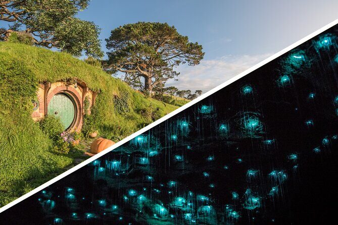 Auckland to Rotorua, Hobbiton and Waitomo 1 Way Small Group Tour - Key things to know before you go