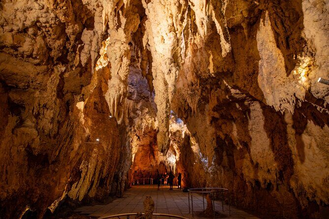 Auckland to Rotorua, Hobbiton and Waitomo 1 Way Small Group Tour - My quick verdict: should you book?