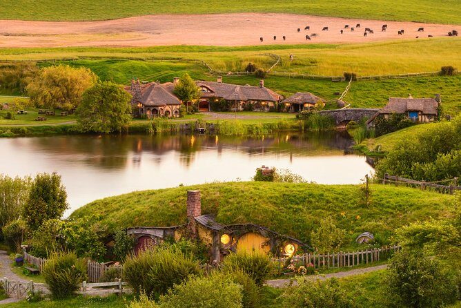 Auckland to Rotorua Private Tour - Rotorua isite Visitor Centre: Getting Oriented Without Wasting Time