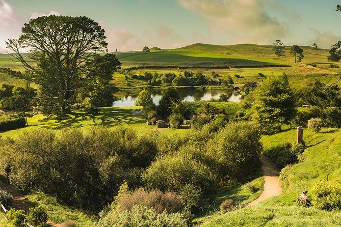 Auckland to Rotorua Private Tour - Comfort and Small Touches: Mercedes Comfort, Snacks, and a Less-Tiring Day