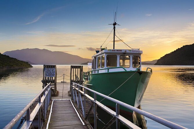 Auckland to Rotorua Private Tour - The Drive South: Thermal Explorer Highway and the 10-Hour Reality Check