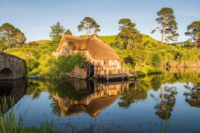 Auckland to Rotorua via Hobbiton Small Group Tour (One Way) - Pickup in Auckland: where to meet and what the morning feels like