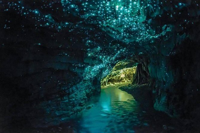 Auckland to Rotorua via Waitomo Caves Small Group Tour (One Way) - The big idea: Auckland to Rotorua in one smooth push