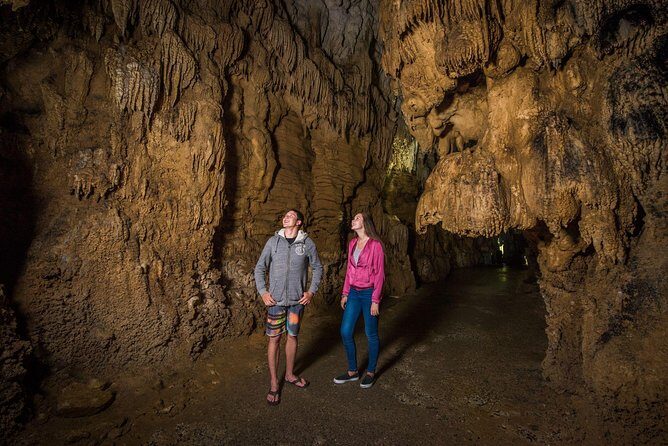 Auckland to Rotorua via Waitomo Caves Small Group Tour (One Way) - Price and time: what $191.76 buys you