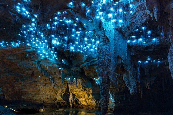 Auckland to Waitomo Caves and Hobbiton Movie Set Private Tour - Waitomo Glowworm Caves: a 45-minute cave visit built around the boat ride