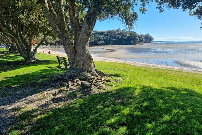 Auckland Town and Country Delights Tour - Key highlights to look forward to
