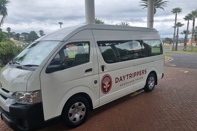Auckland Town and Country Delights Tour - A 9:30 start that feels like a local day out