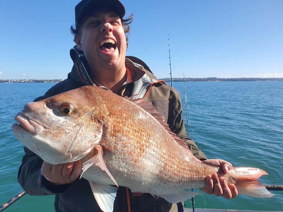 Auckland: Twilight Fishing Charter 5pm - 9:30pm - Quick take: what stands out on this charter