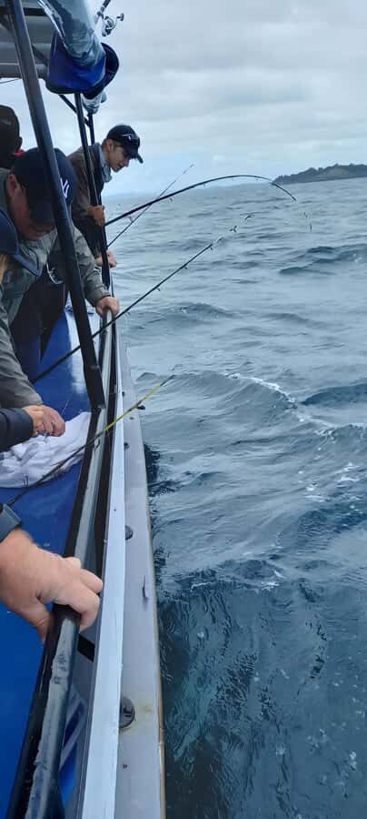 Auckland: Twilight Fishing Charter 5pm - 9:30pm - The Red Boats cruise: views you actually remember