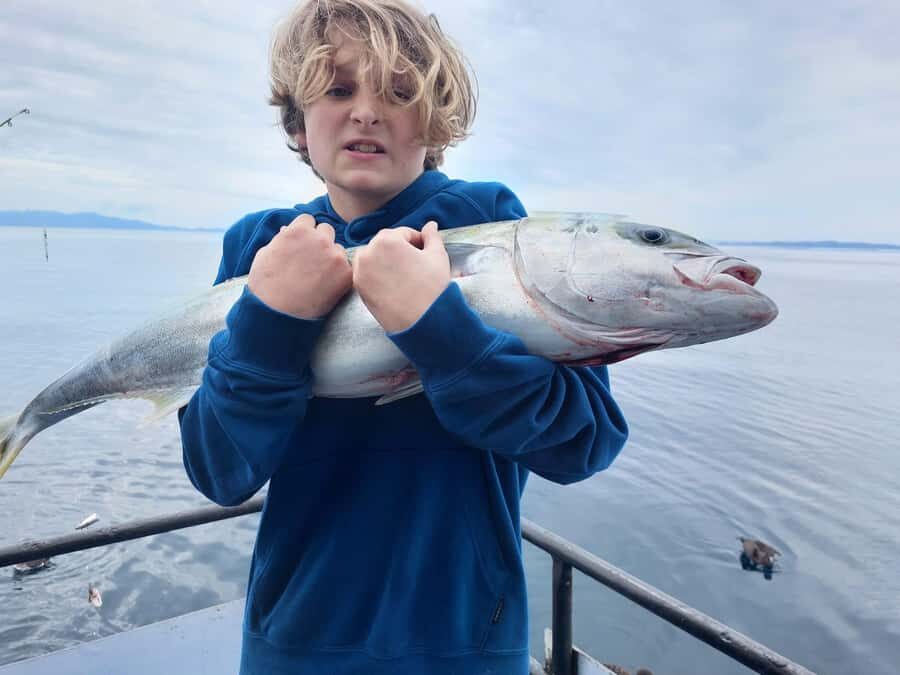 Auckland: Twilight Fishing Charter 5pm - 9:30pm - Rods, bait, chilly bins, and the real value of the $40 ticket