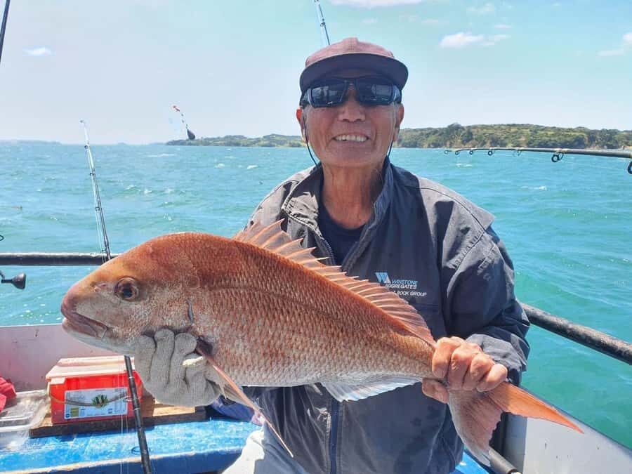 Auckland: Twilight Fishing Charter 5pm - 9:30pm - Tips that help you catch more and stress less (especially with bait)