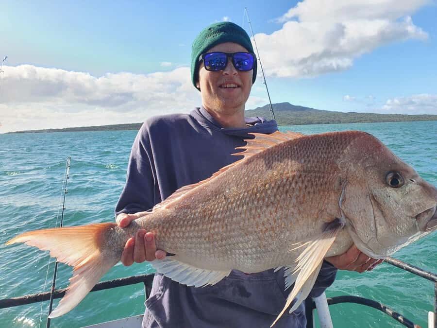 Auckland: Twilight Fishing Charter 5pm - 9:30pm - Meeting at Westhaven and getting set up without wasting time