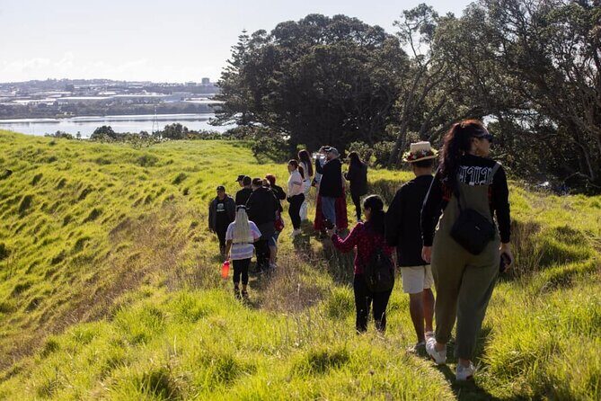 Auckland Urban Māori Experience with Transportation - Urban Māori in Auckland: What Makes This Tour Worth Your Time