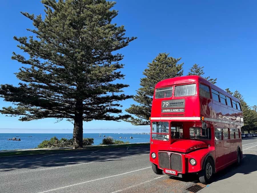 Auckland: Vintage Double-Decker Bus Sightseeing Tour - Where You Start at 2 Customs Street East (And How to Avoid a Miss)