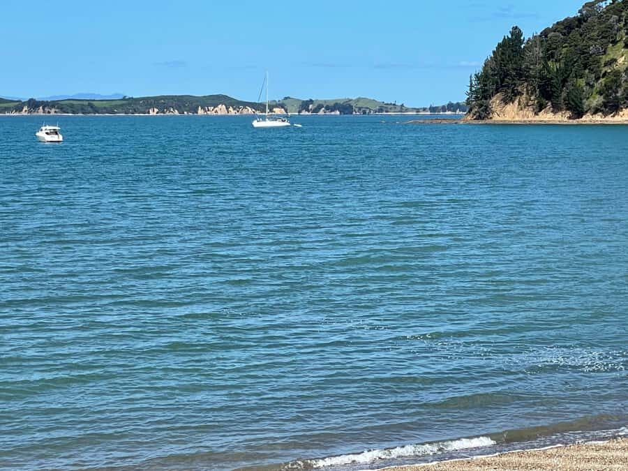 Auckland: Waiheke Island Luxury Experience Private Tour - Award-Winning Olive Oil Estate: Harvest, Harvesting Demos, and Extra Virgin Learning