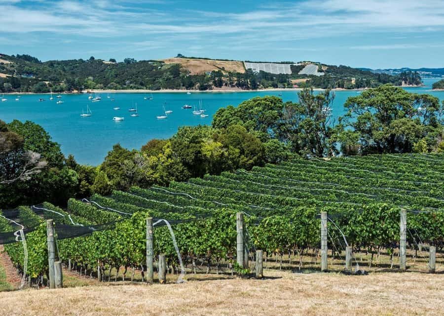 Auckland: Waiheke Island Luxury Experience Private Tour - Upgrades That Change the Feel: Charter Boat, Seaplane, Helicopter