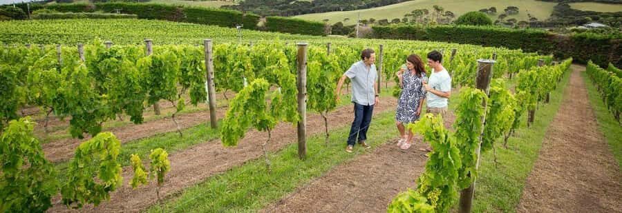 Auckland: Waiheke Island Luxury Experience Private Tour - Should You Book This Waiheke Island Luxury Private Tour?