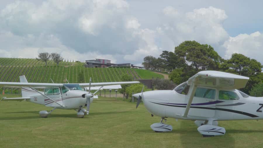 Auckland: Waiheke Island Wine and Food Tasting with Flights - Price and value: what NZD-style luxury looks like at $388