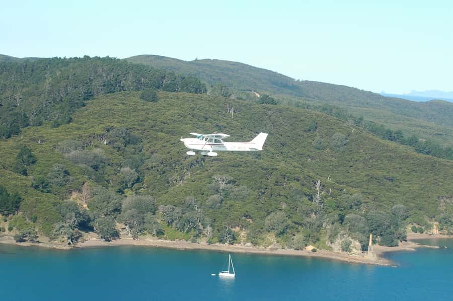 Auckland: Waiheke Island Wine and Food Tasting with Flights - The flight over: what you’re really buying with those 45 minutes