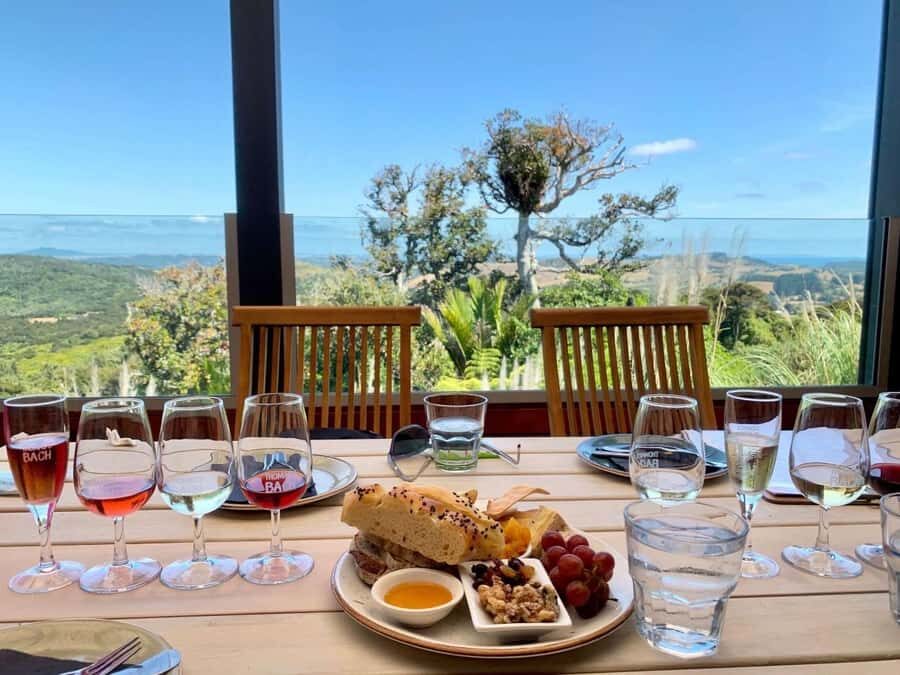 Auckland: Waiheke Island Wine and Food Tasting with Flights - The return to Auckland: ferry ticket included, transfer handled for you