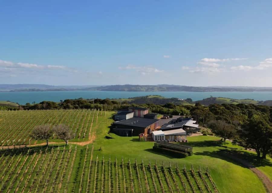 Auckland: Waiheke Island Wine and Food Tasting with Flights - Getting to the airport: Auckland pickup and the short transit window