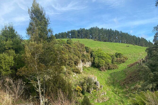 Auckland : Waitomo Spellbound Glow Worm Twin Caves Private Tour - The Walk to Te Ana o Te Atua: More Than Another Cave Room