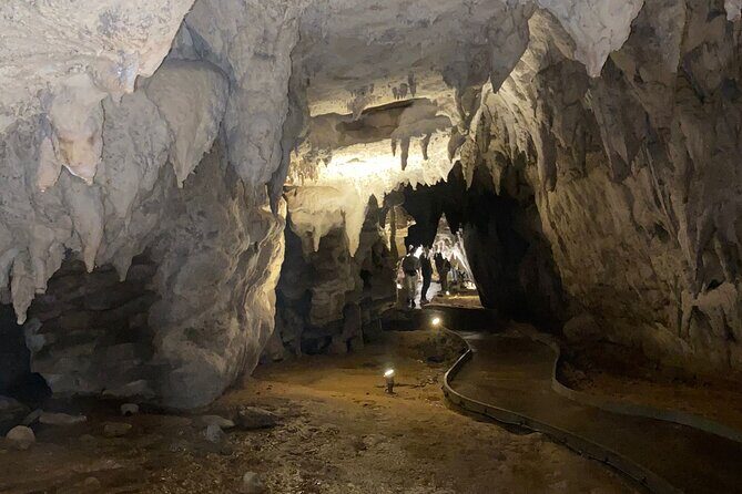 Auckland : Waitomo Spellbound Glow Worm Twin Caves Private Tour - Coffee, Tea, and the In-Between Rhythm That Keeps You Fresh