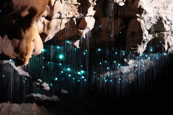 Auckland : Waitomo Spellbound Glow Worm Twin Caves Private Tour - Otorohanga Lunch Stop: Plan It, Don’t Assume It’s Included