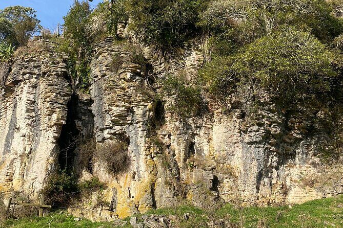 Auckland : Waitomo Spellbound Glow Worm Twin Caves Private Tour - Duration, Pickup, and the Real Meaning of 8–9 Hours