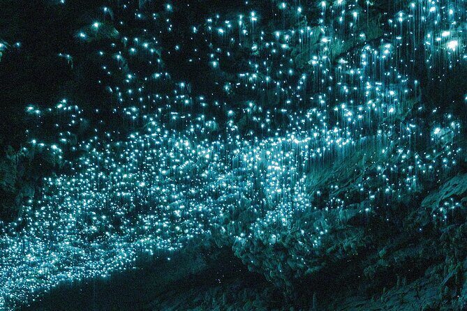 Auckland : Waitomo Spellbound Glow Worm Twin Caves Private Tour - Photos, Lighting, and Timing: Getting Shots Without the Stress