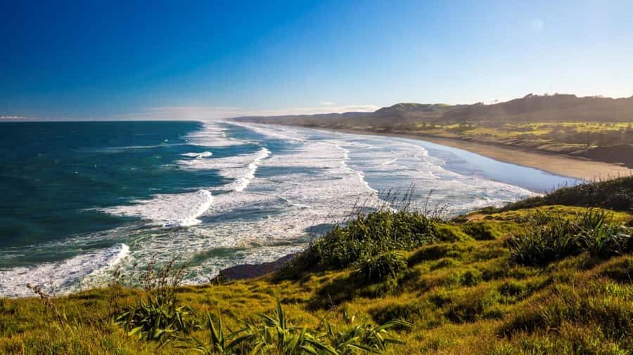 Auckland: West Coast Discovery - Why Piha and Karekare are worth the trip from Auckland