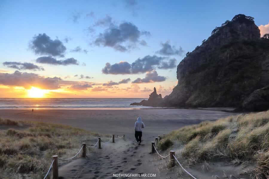 Auckland: West Coast Discovery - Waitakere Ranges drive: panoramic views before you reach the coast